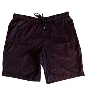 American Eagle Men’s Medium Burgundy Flex Tech Athletic Shorts Modern Utility